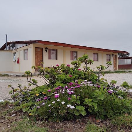 Aparthotel Santa Maria Punta Choros Pokój zdjęcie